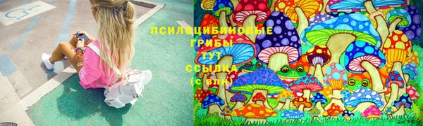 соль курить ск Наволоки