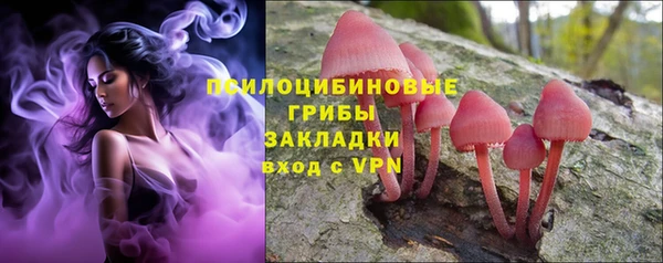 MDMA Premium VHQ Богородицк