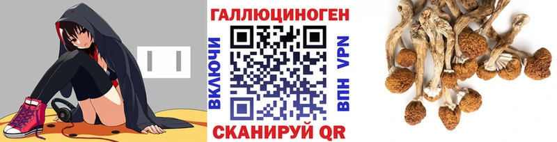 как найти закладки  Северская  omg ссылки  Галлюциногенные грибы ЛСД 